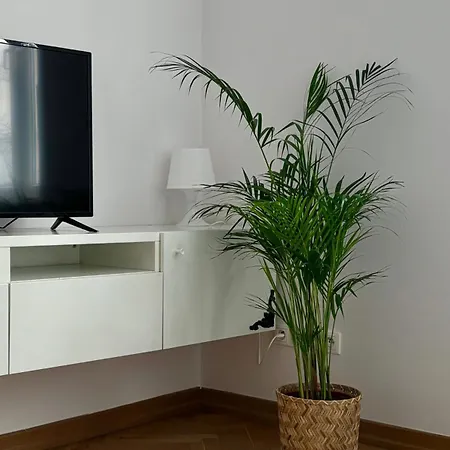 Apartamento K3